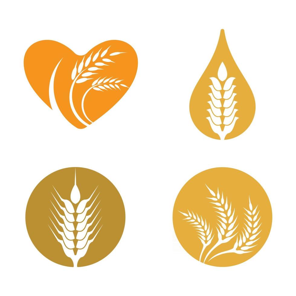 imagens do logotipo da wheat vetor