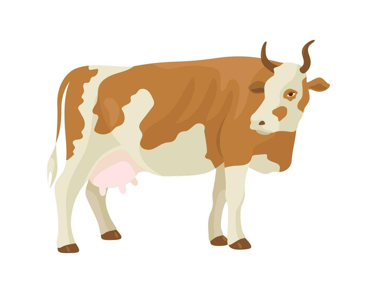 Castanho e branco visto vaca. gado. vetor ilustração isolado em uma branco fundo.