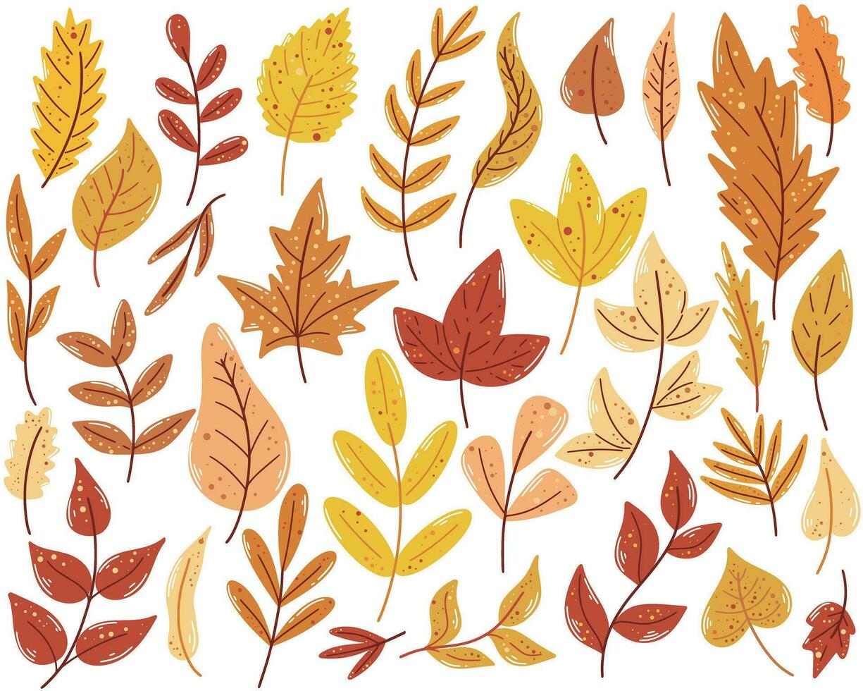 mão desenhado conjunto outono folhas vetor