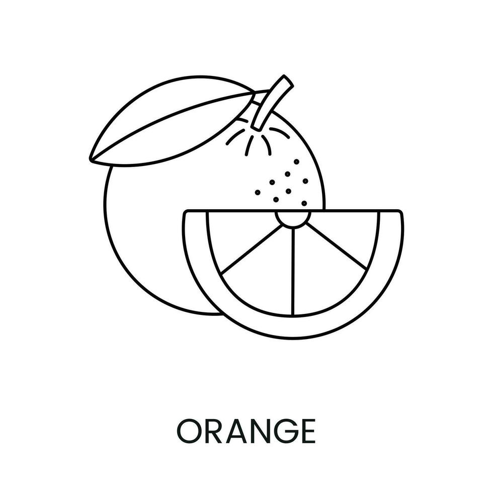 laranja citrino fruta vetor linha ícone projetado para Comida embalagem e alérgeno avisos.