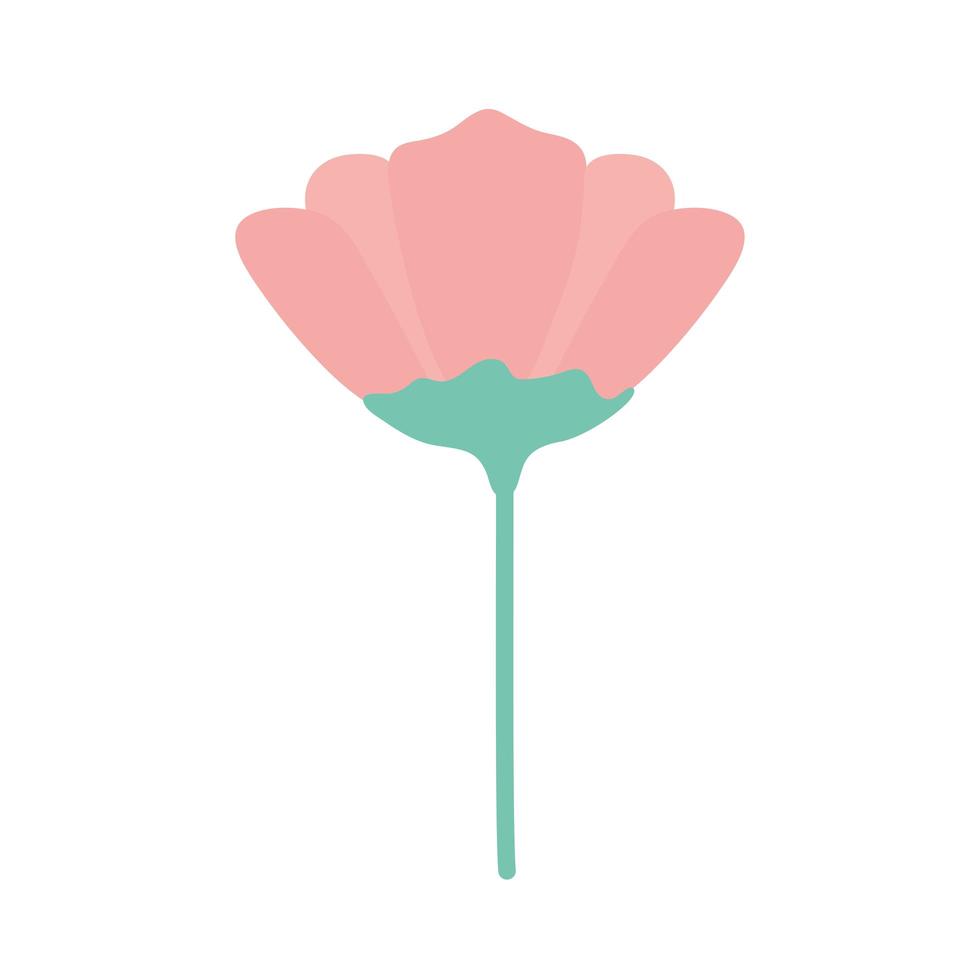 flor com uma cor rosa vetor