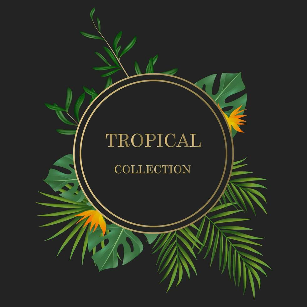 vetor faixas com verde tropical folhas, selva. exótico botânico adequado para cartazes, cumprimento cartões, faixas ou, convites em uma Preto fundo