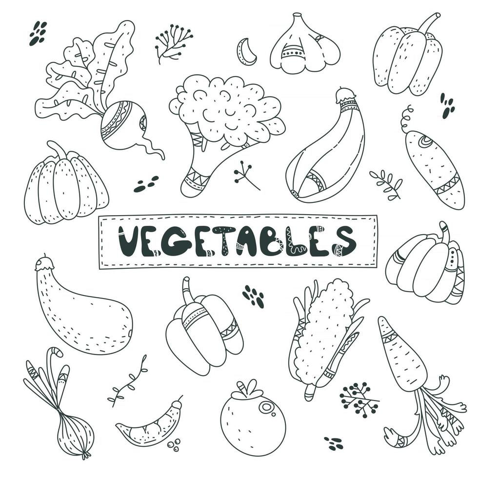 Conjunto de vegetais, desenho ilustração design