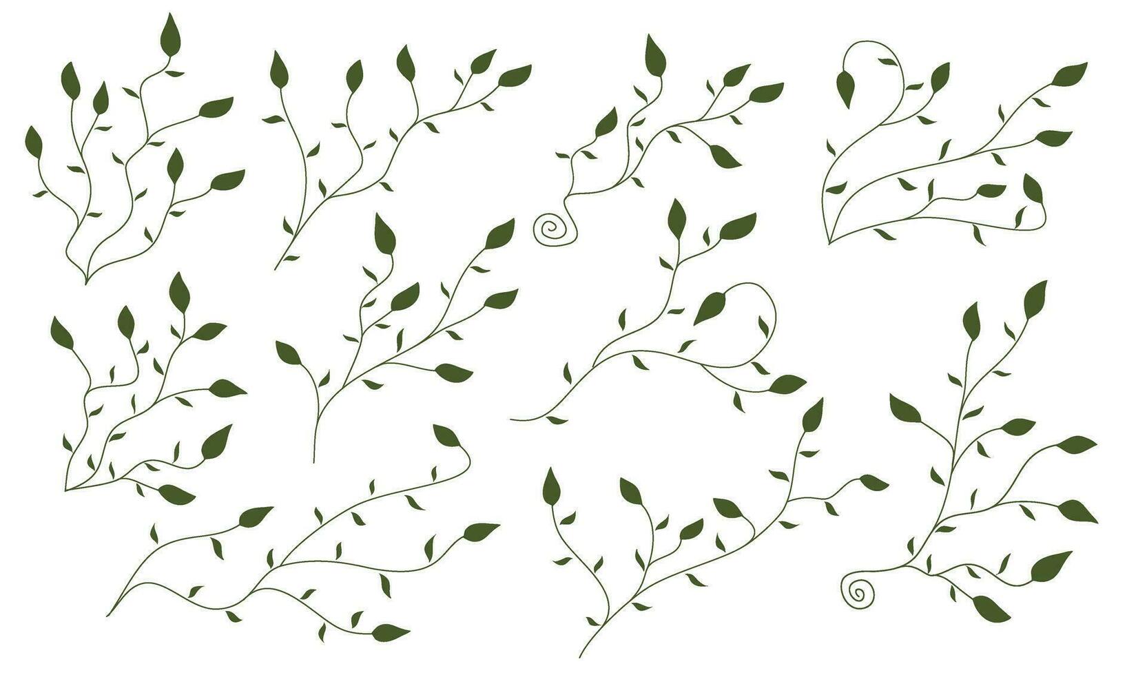 mão desenhado folha quadro. silhueta galhos com folhas. mão desenhado do ramo e folha. mão desenhado folhas. Rosa folha decoração. vetor