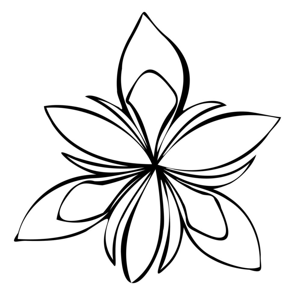 abstrato lírio flor. mão desenhado linha folhas isolado em branco vetor