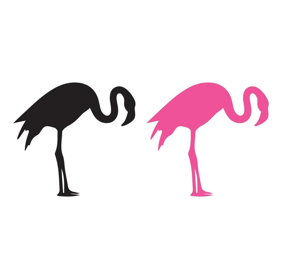 vetor imagem do silhueta flamingo