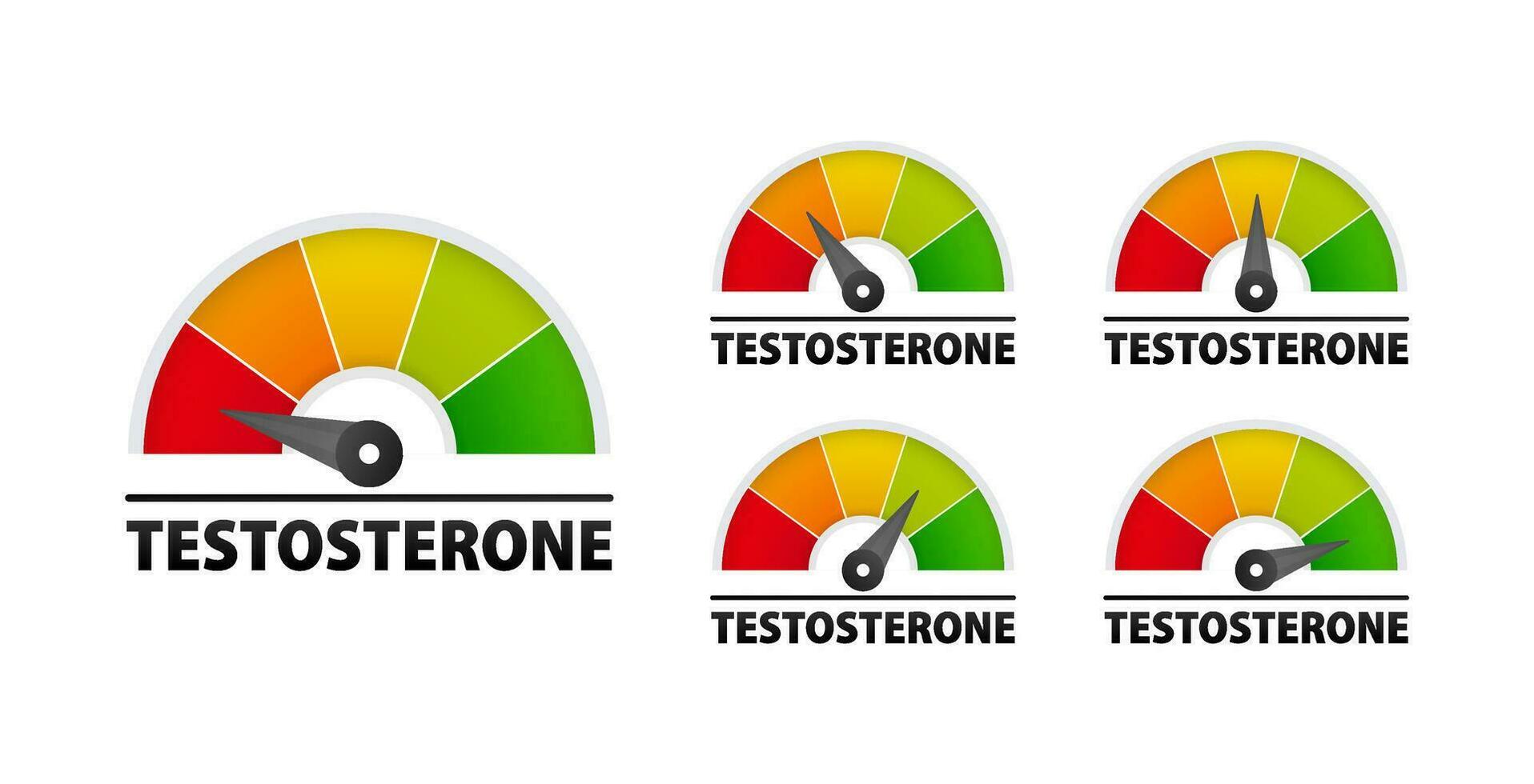 testosterona nível medição escala. rastreamento e gerenciando seu hormonal saúde para ótimo bem estar vetor