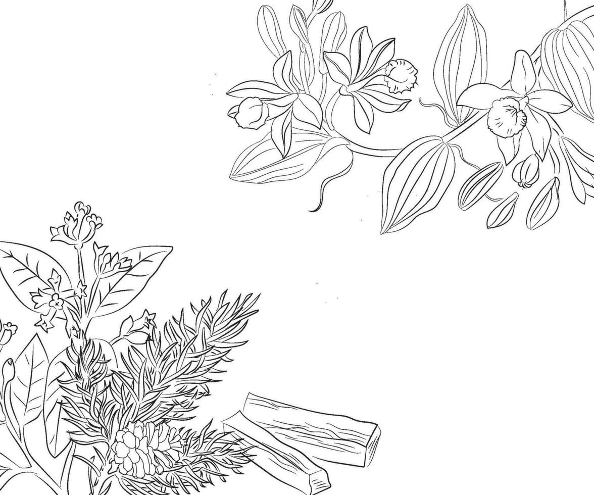 botânico mão desenhando vetor ilustração