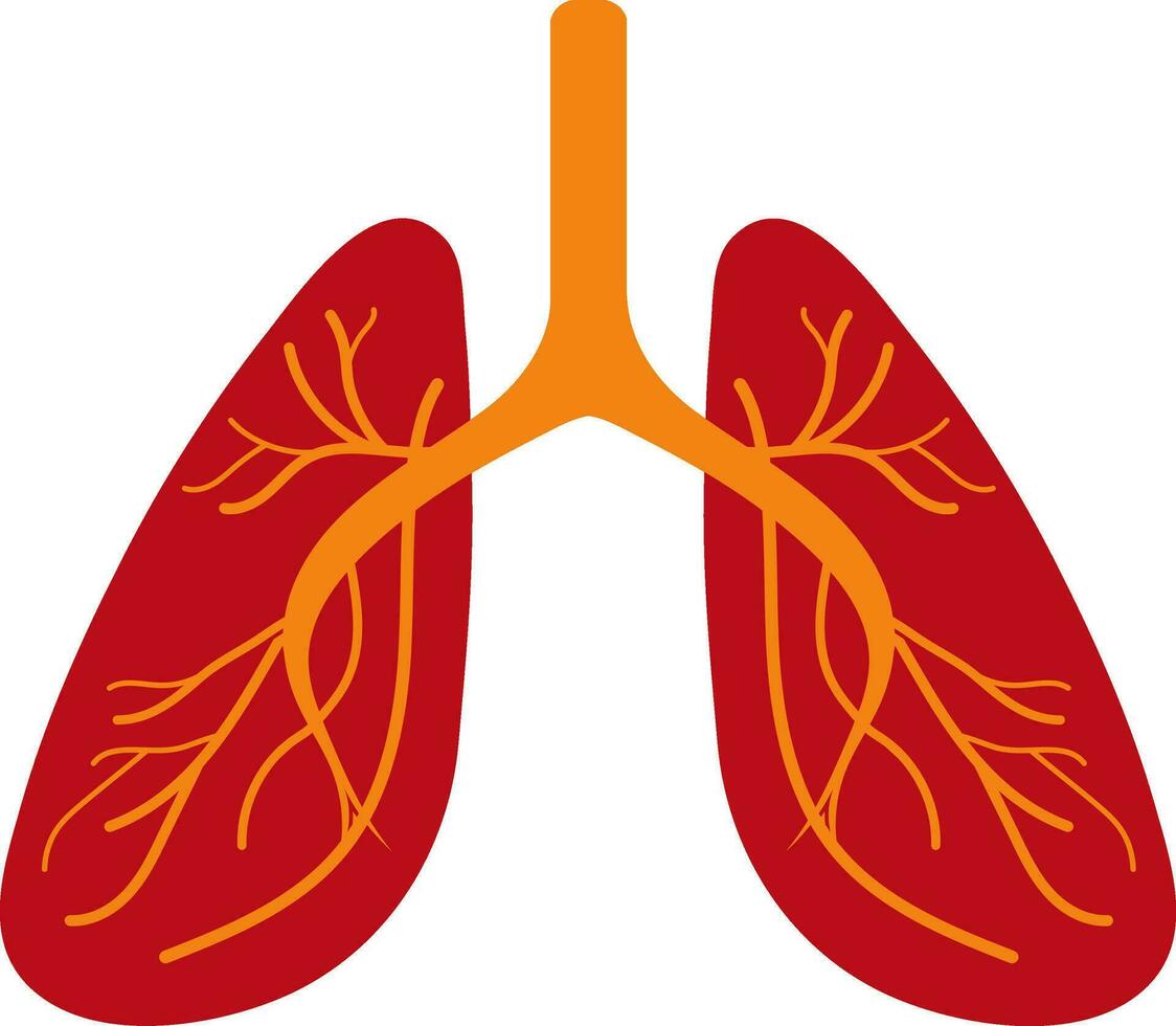 plano estilo pulmões dentro vermelho e laranja cor. vetor