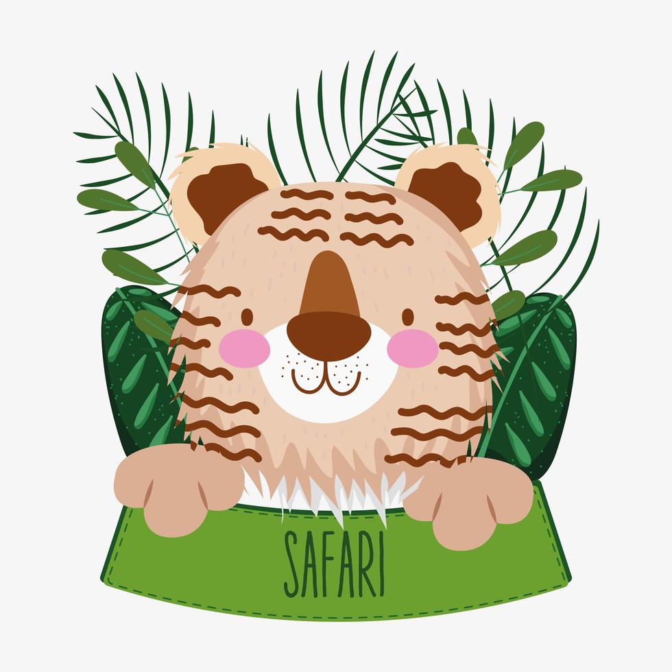 tigre fofo e sinal de safári vetor