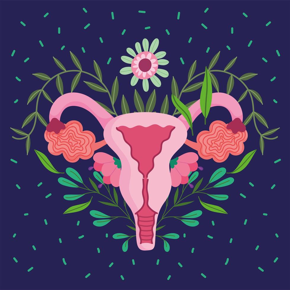 sistema reprodutivo feminino humano, bela decoração de flores de órgão vetor