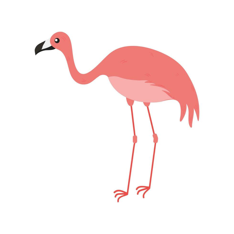 Rosa flamingo desenho animado ilustração isolado dentro branco fundo. verão animal ilustração vetor