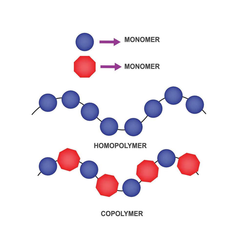 homopolímero e copolímero vetor ilustração