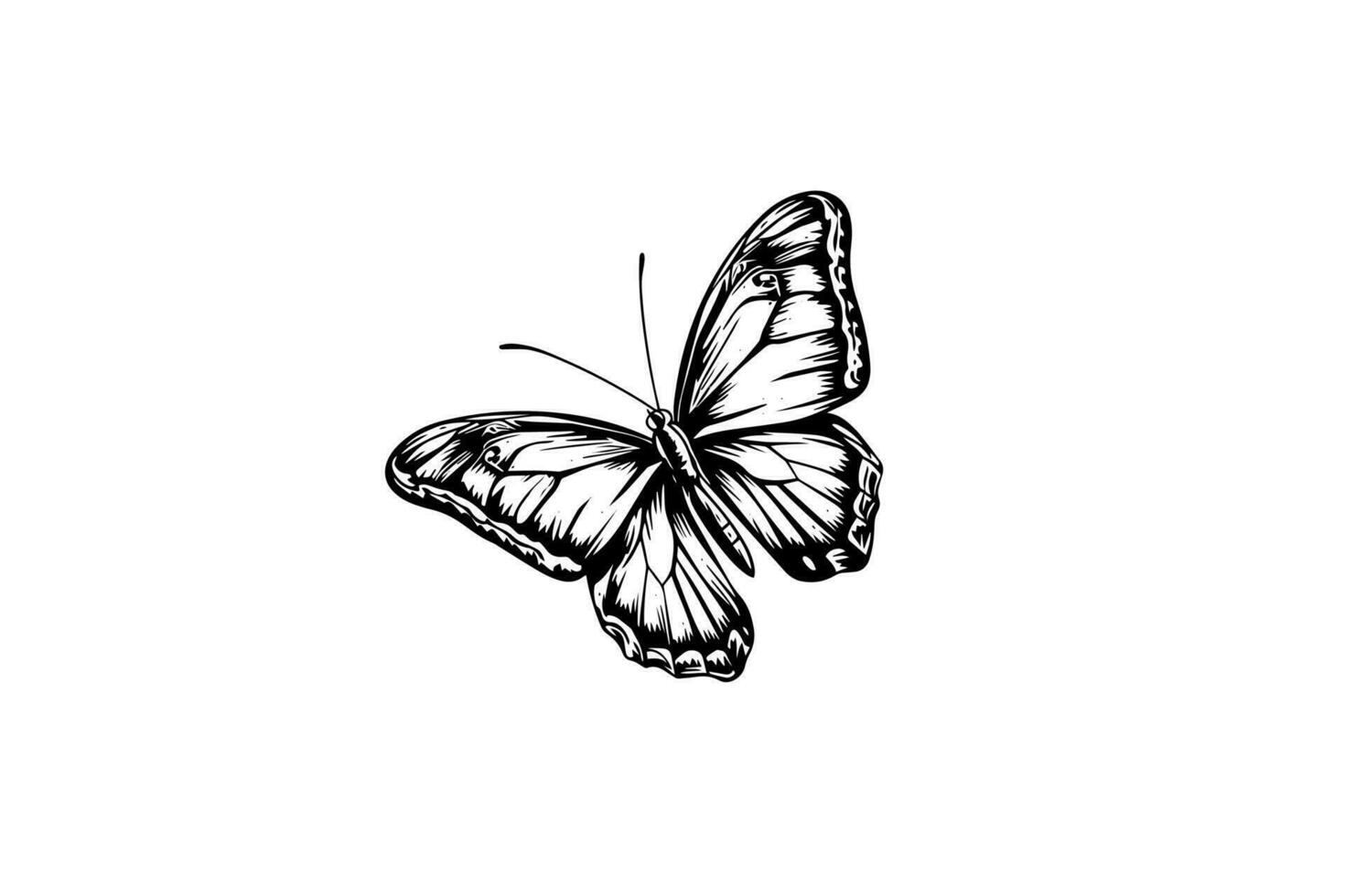 borboleta esboço. mão desenhado gravação estilo vetor ilustração.