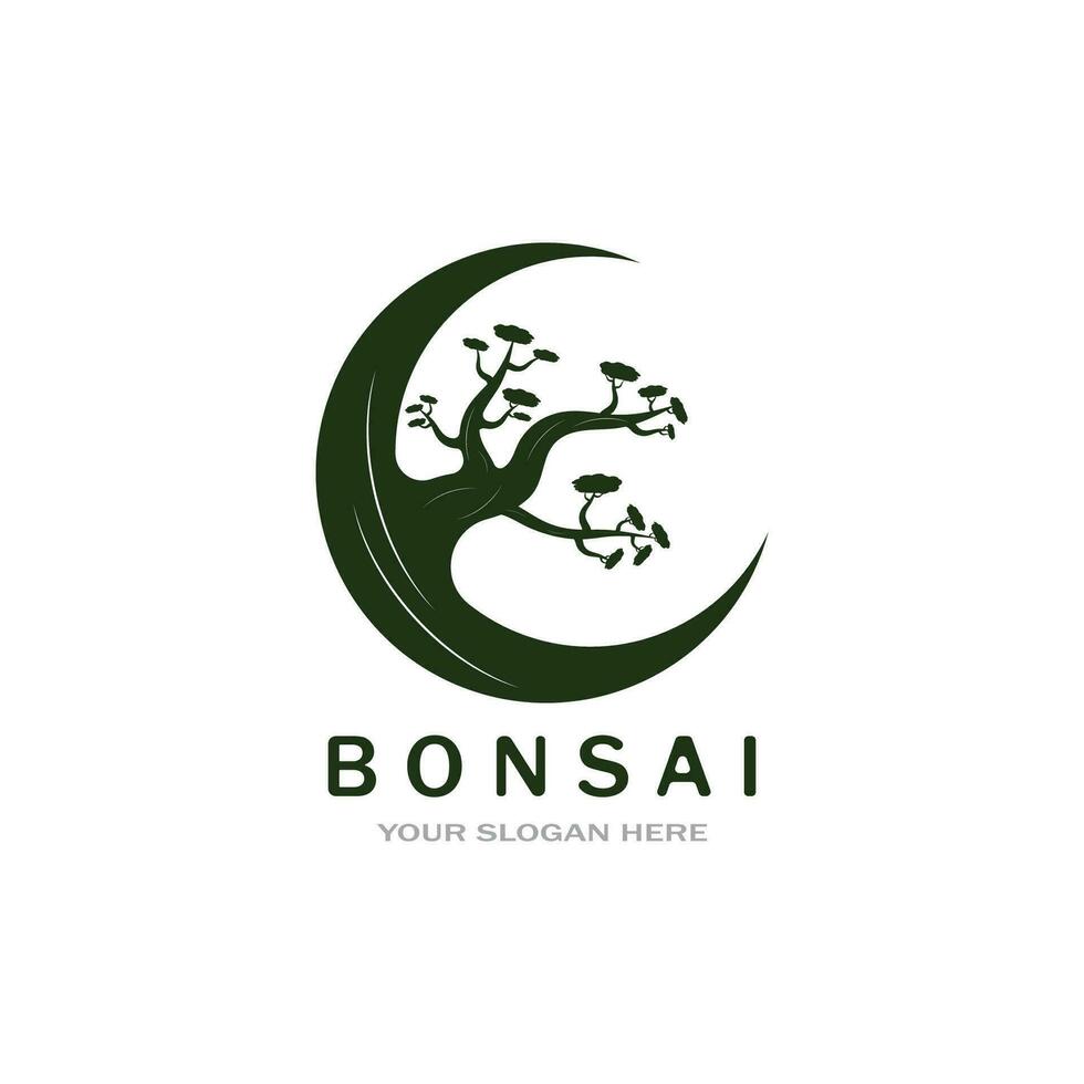 bonsai logotipo Projeto. japonês mini pequeno plantar árvore silhueta logotipo Projeto vetor