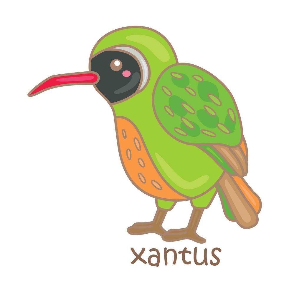 alfabeto x para xantus vocabulário escola lição lendo desenho animado ilustração vetor clipart adesivo