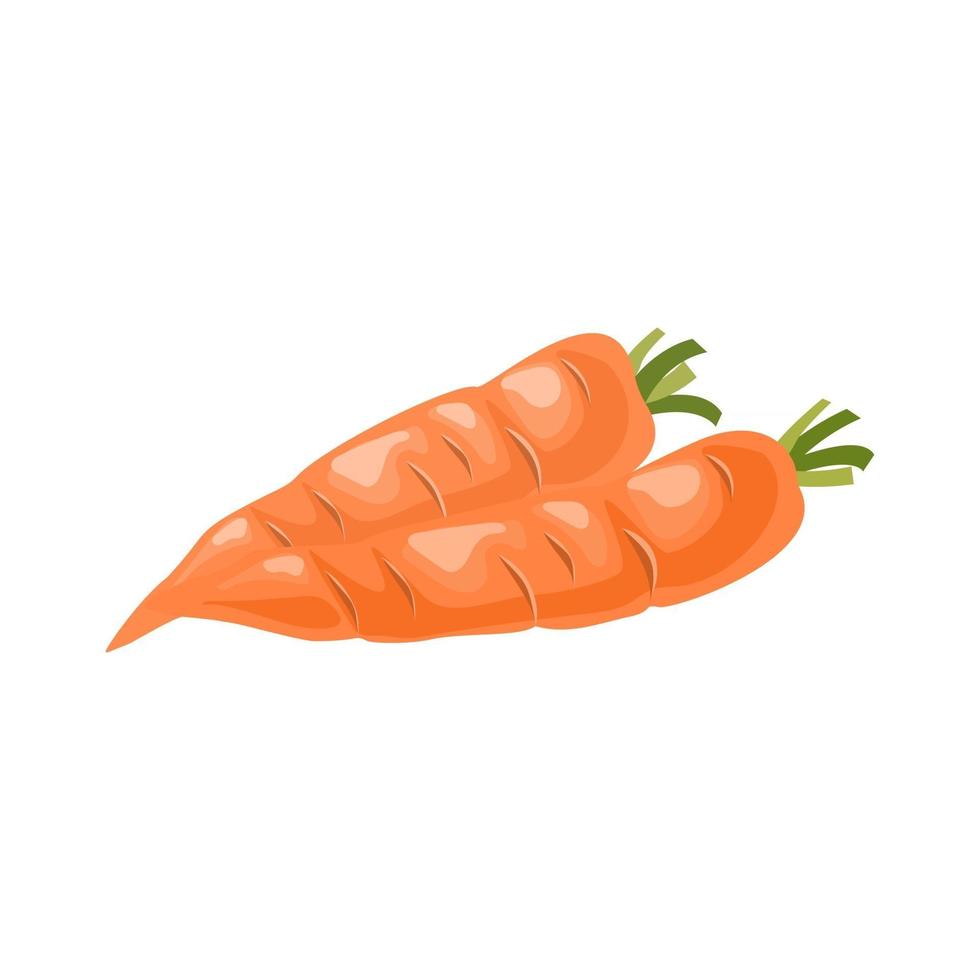 ilustração vetorial desenho animado objeto isolado vegetal cenoura vetor