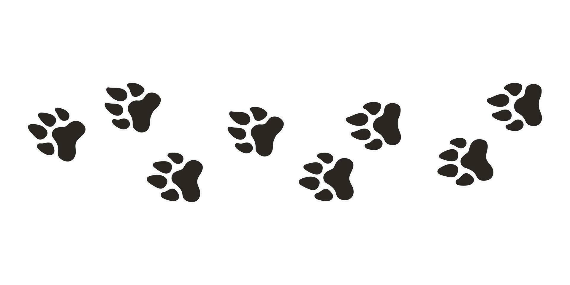 leão patas. animal pata impressões, vetor diferente animais pegadas Preto em branco fundo ilustração