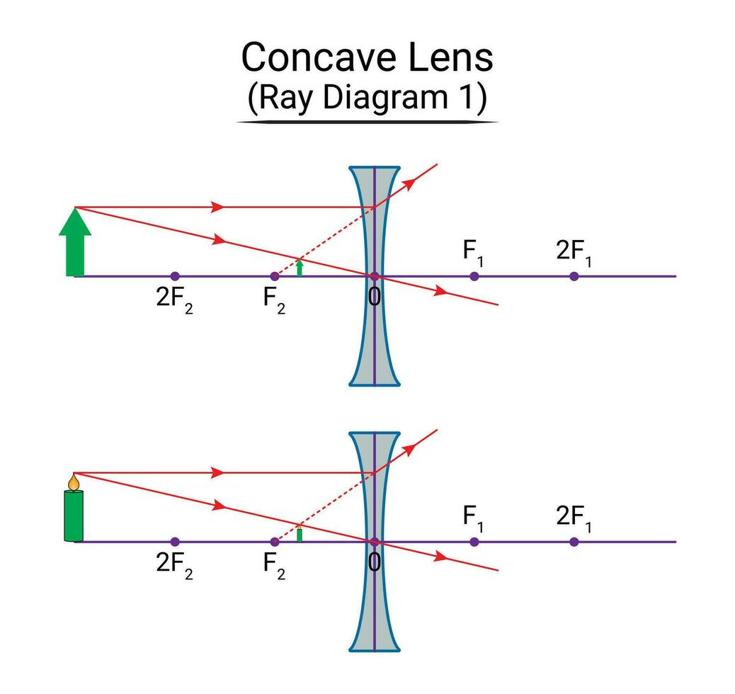 côncavo lente raio diagrama 1 vetor