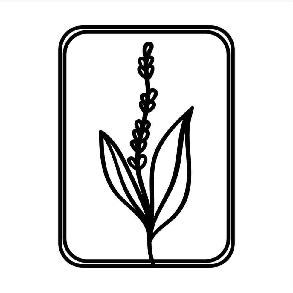 tarot cartão simples linear ícone, botânico cartão. místico e esotérico simples ícone vetor