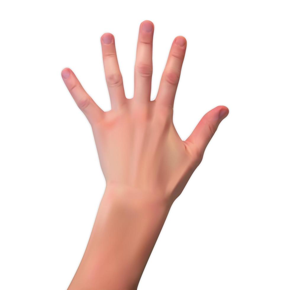 silhueta 3d realista de uma mão aberta sobre fundo branco. ilustração vetorial vetor