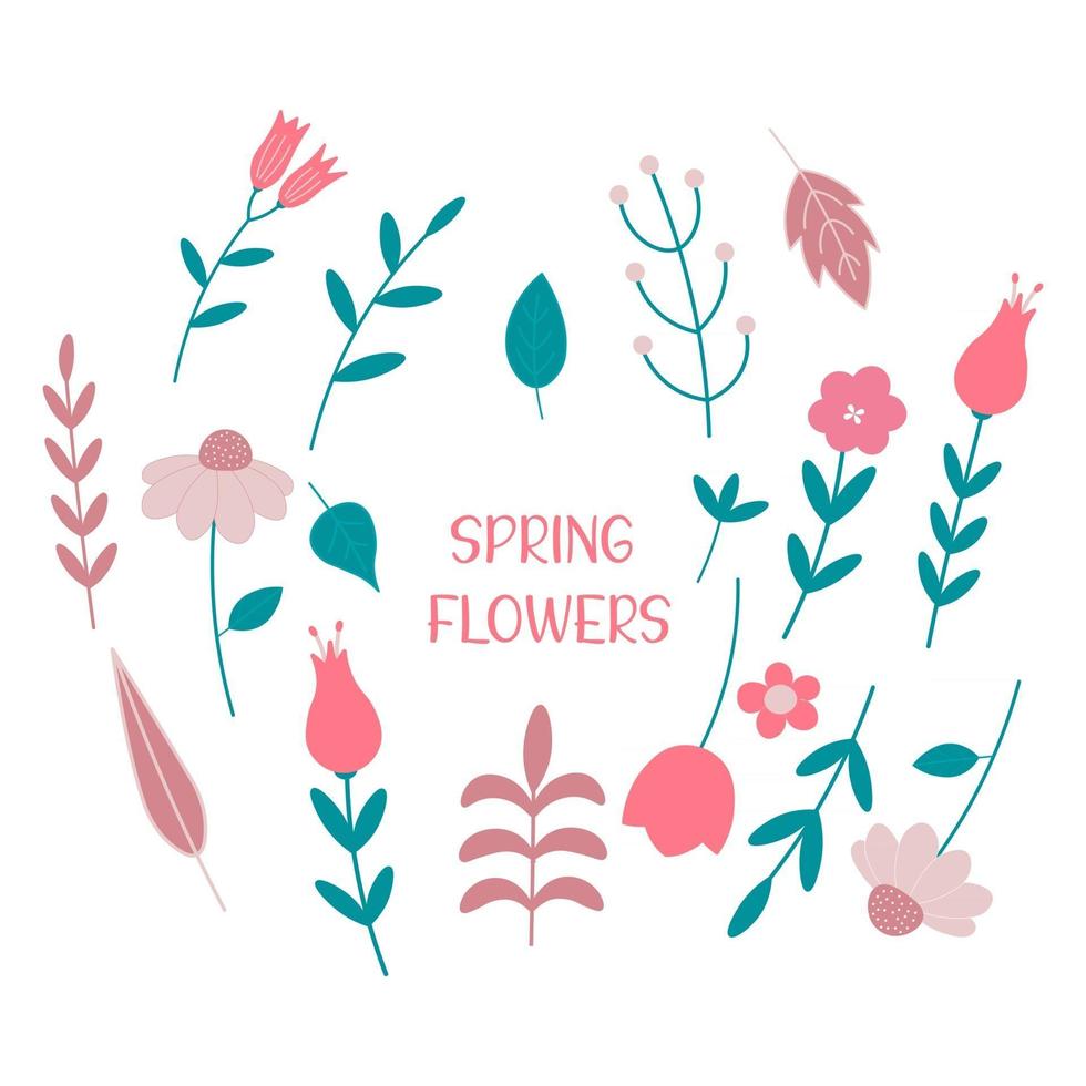 conjunto de flores da primavera e ilustração vetorial plana de folhas vetor
