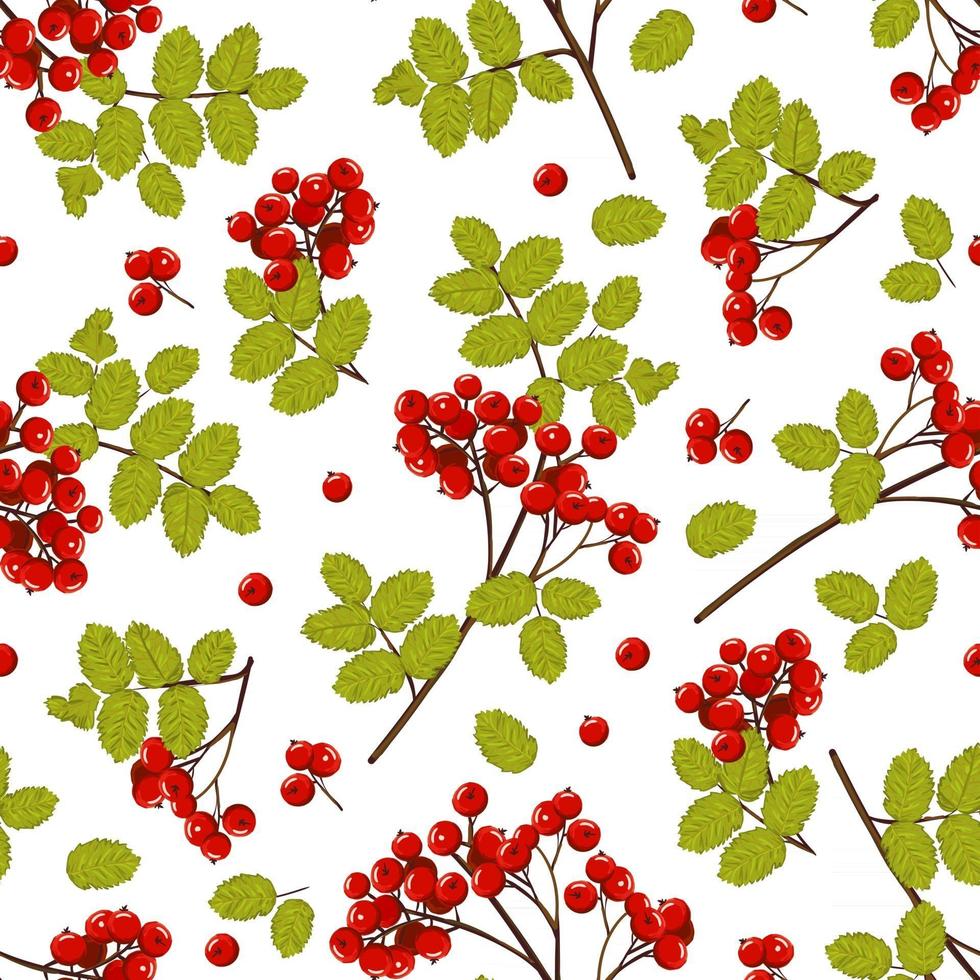 padrão sem emenda de ramos com bagas vermelhas de rowan e folhas verdes. fundo natural do vetor