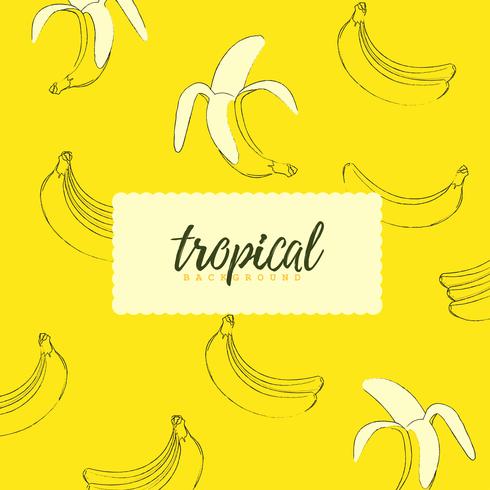 Fundo sem costura tropical com bananas vetor