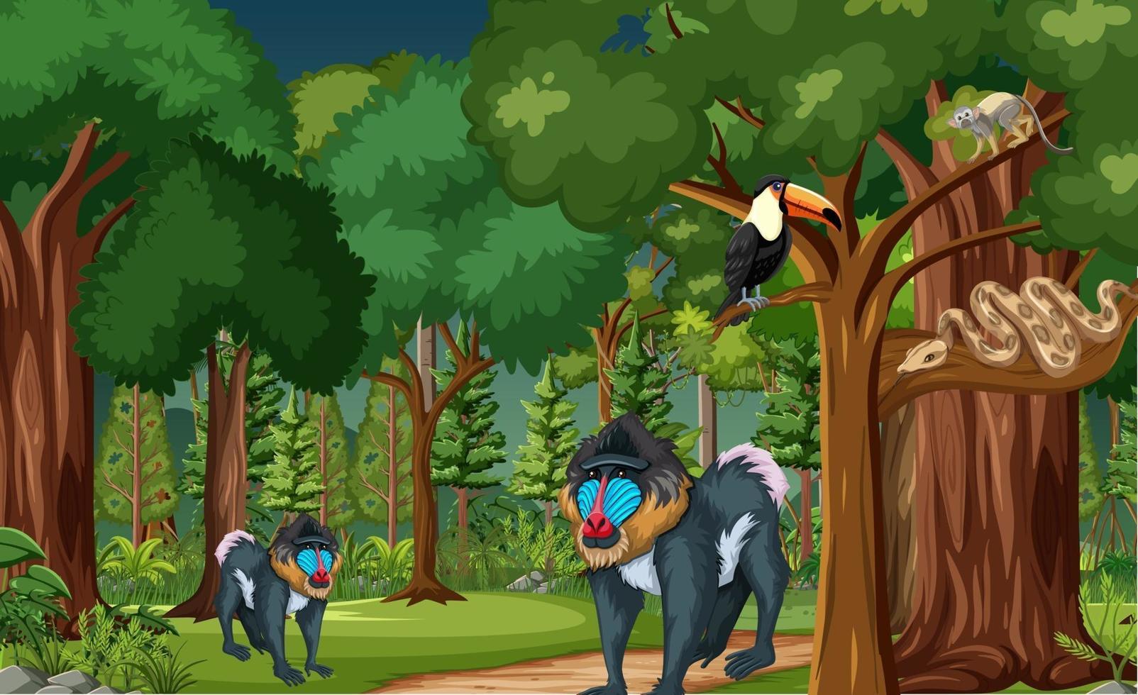 cena da floresta tropical com vários animais selvagens vetor