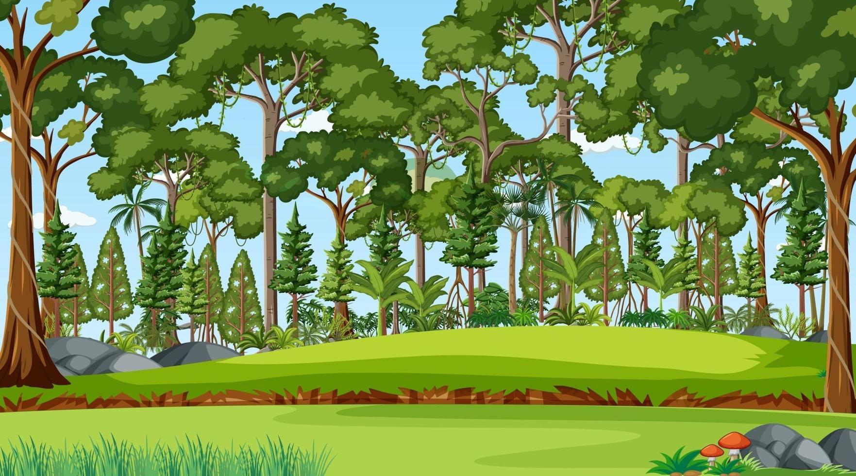 cena da floresta com várias árvores da floresta vetor