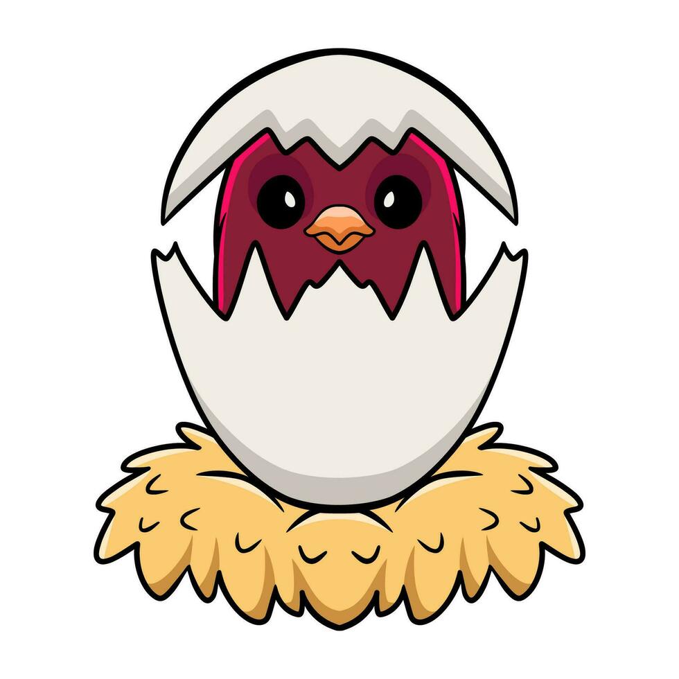 fofa pompadour cotinga pássaro desenho animado dentro a partir de ovo vetor