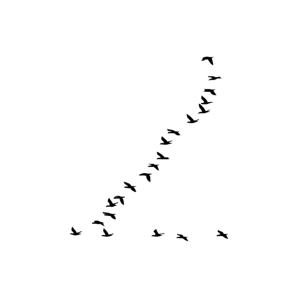 rebanhos do livre pássaros estão subindo dentro a céu. vetor