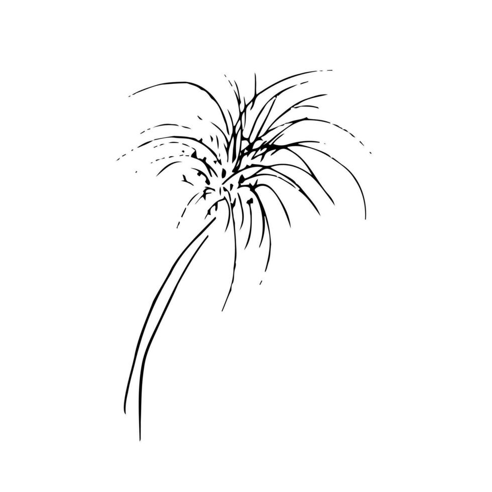 vetor fino linha ícone, fogos de artifício. metáfora do felicidade, excitação e alegria. logotipo modelo ilustração. Preto em branco isolado símbolo. simples mono linear moderno Projeto.