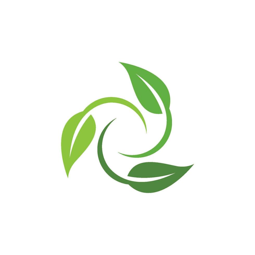 logotipos da ecologia de folhas verdes vetor