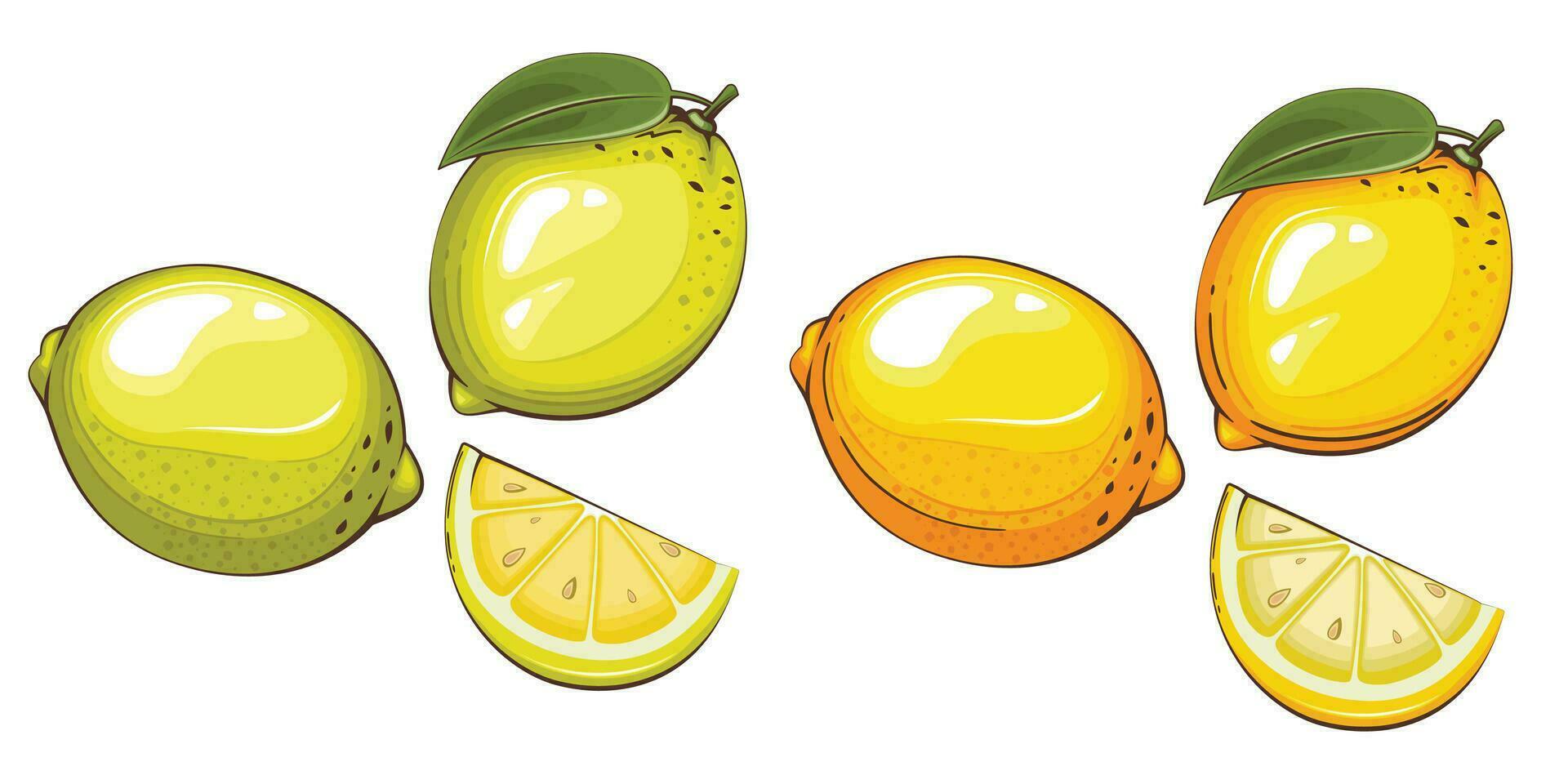 limões isolado vetor ilustração. frutas colorida ilustrações isolado em branco fundo. fruta coleção.