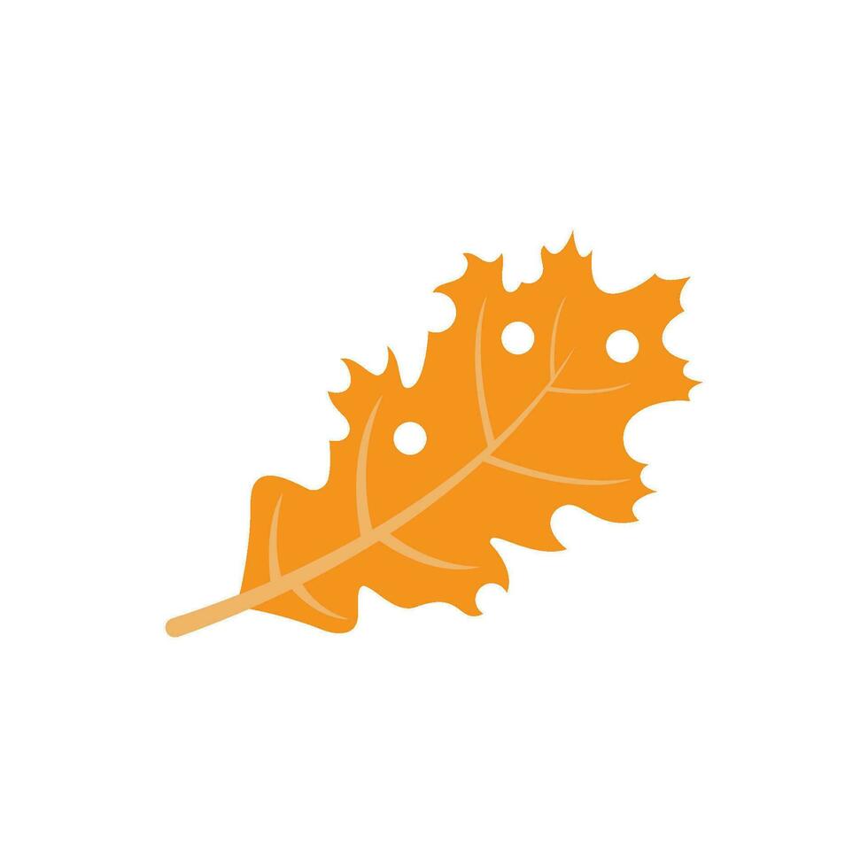carvalho folha outono ícone vetor