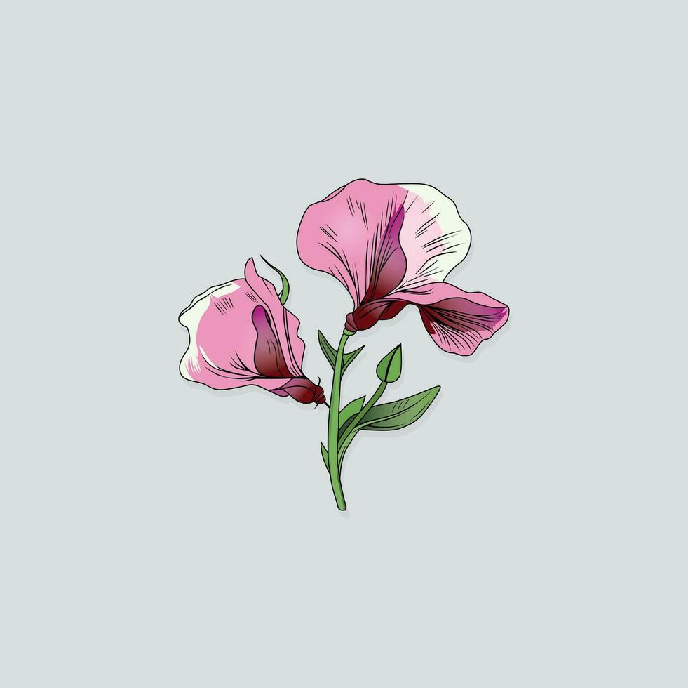 plano flor vetor ilustração mão desenhado esboço