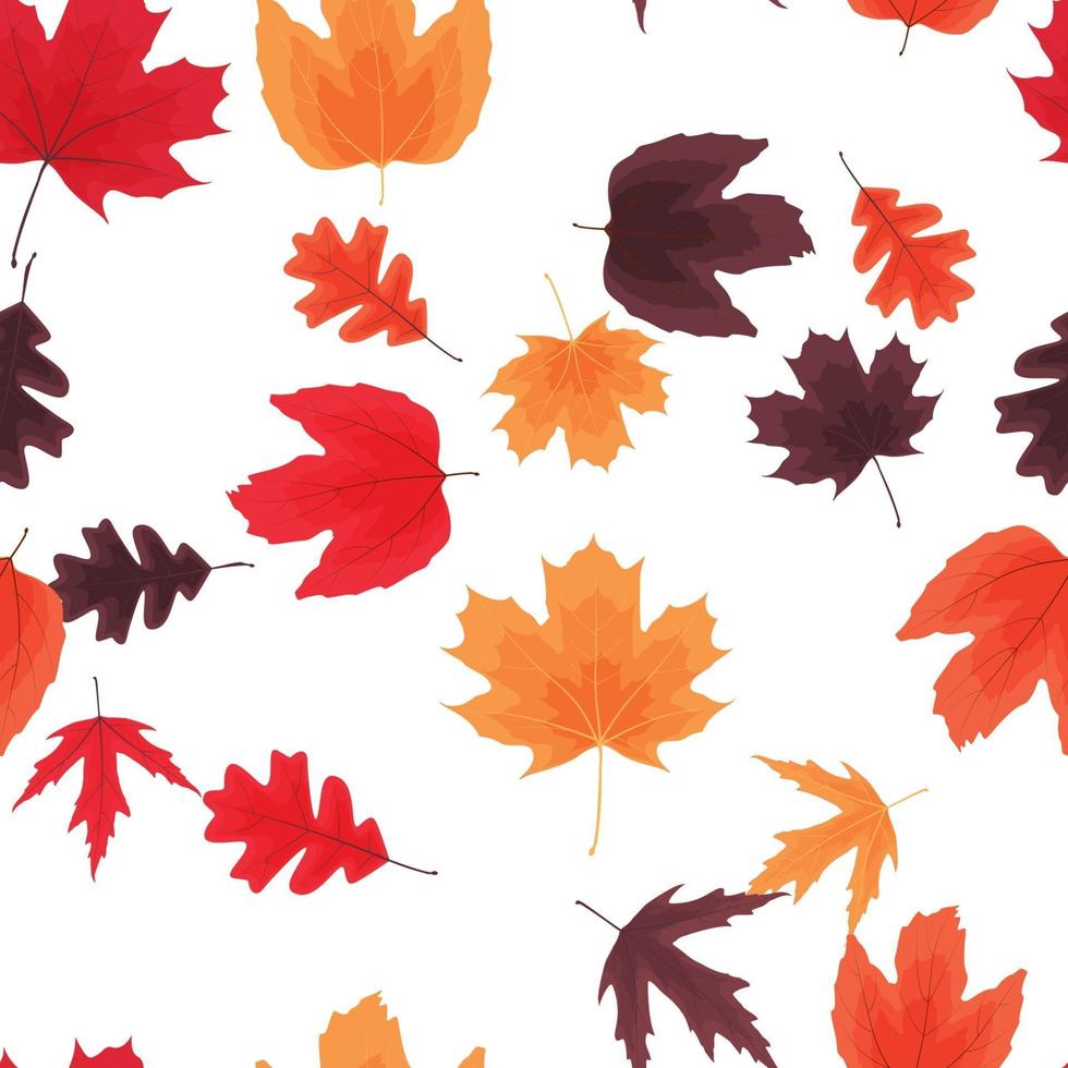folhas naturais de outono sem costura de fundo. ilustração vetorial vetor