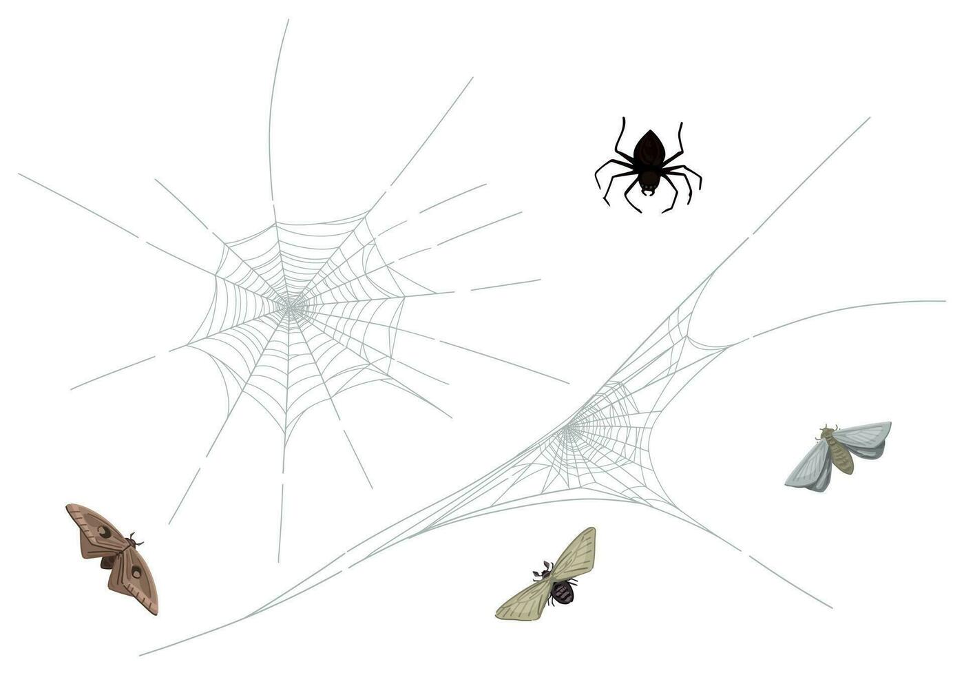 conjunto do teia de aranha, aranha, mariposa. dia das Bruxas inseto mistério cliparts isolado em branco. vetor ilustração dentro desenho animado estilo. Projeto do assustador, apavorante, Horror decoração.