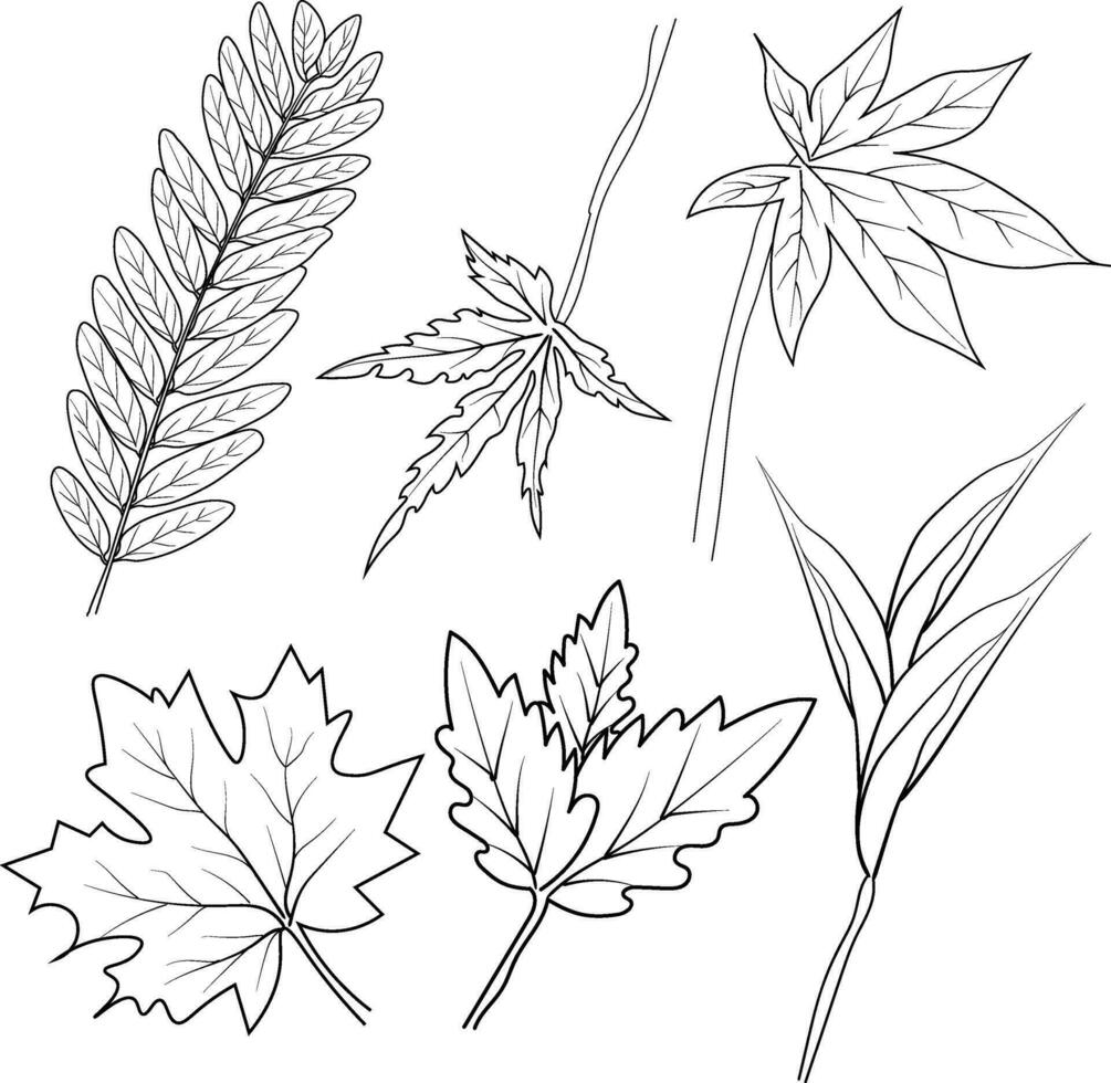 conjunto do outono folhas conjunto para coloração página vetor, uma ramo do maduro Rowan vetor ilustração, hervst folha coloração Páginas, esboço estoque outono linha desenho, folha conjunto ilustrações