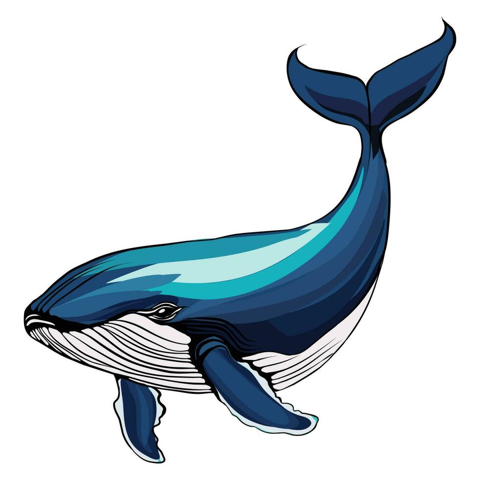 baleia fofa desenho animado peixe branco fundo ilustração vetor