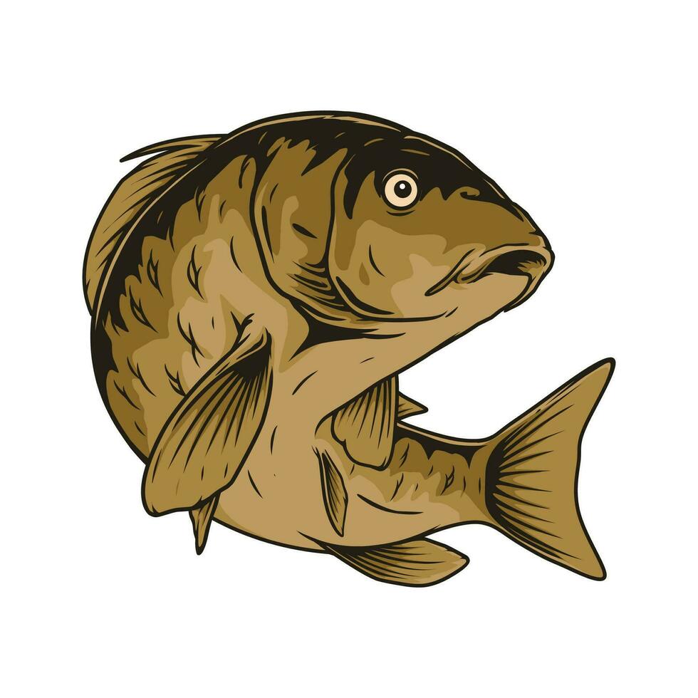 design de ilustração vetorial de peixe carpa vetor