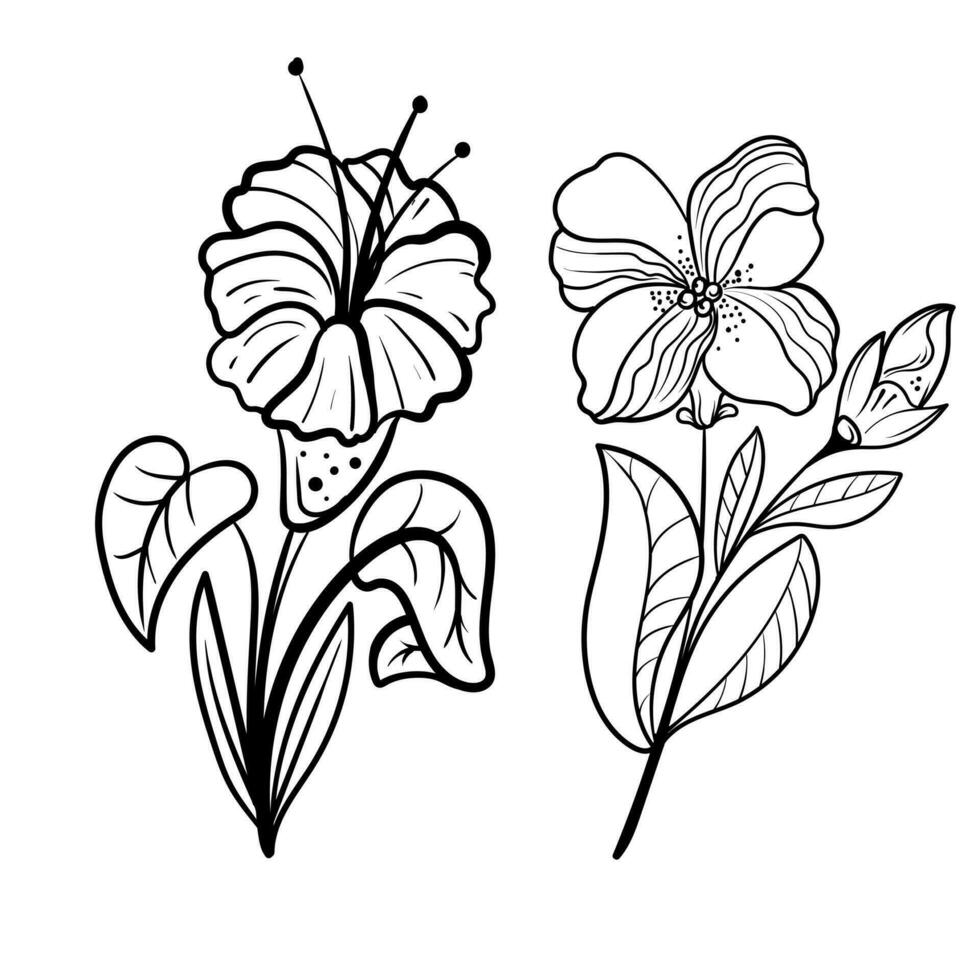 conjunto do botânico artes. mão desenhado linha desenhando do abstrato flor, floral, rosa, tropical folhas, Primavera e outono folha, ramalhete do azeitonas vetor