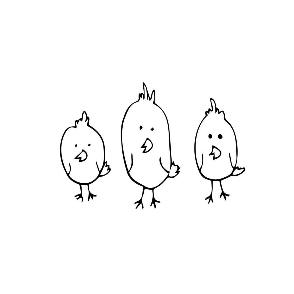 fofa desenho animado frango definir. três engraçado galinhas dentro rabisco estilo. vetor ilustração.