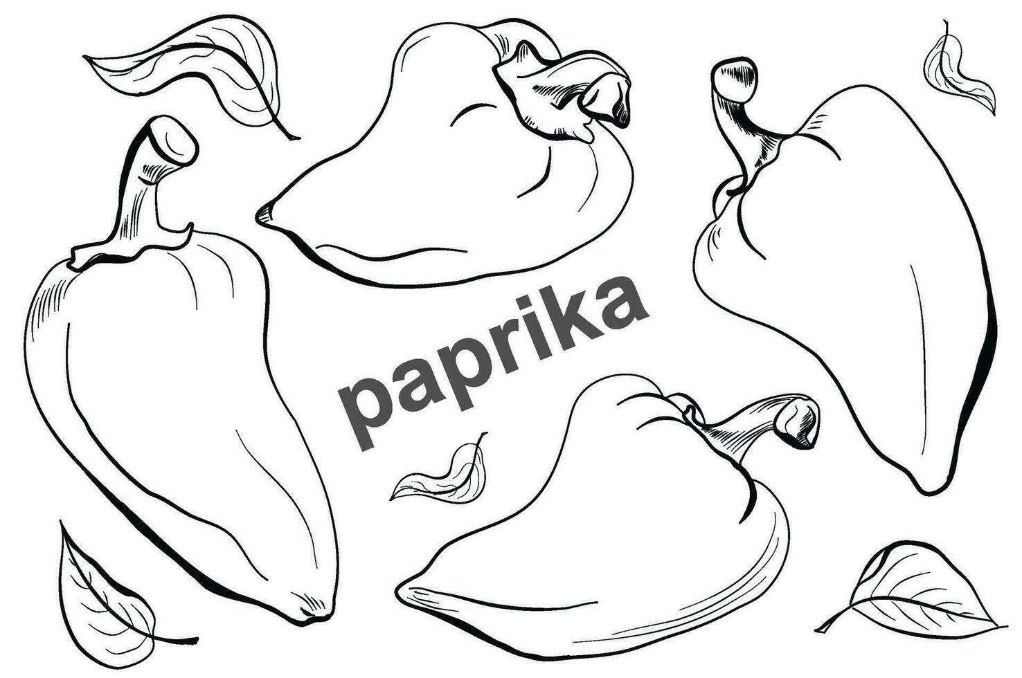 conjunto do à mão livre desenhos do doce pimenta, páprica, Sino Pimenta dentro rabisco estilo vetor ilustração