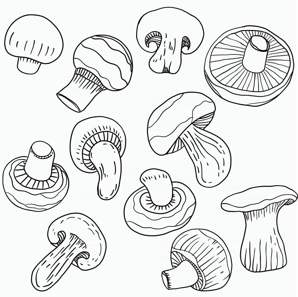 doodle desenho à mão livre de cogumelos vegetais. vetor