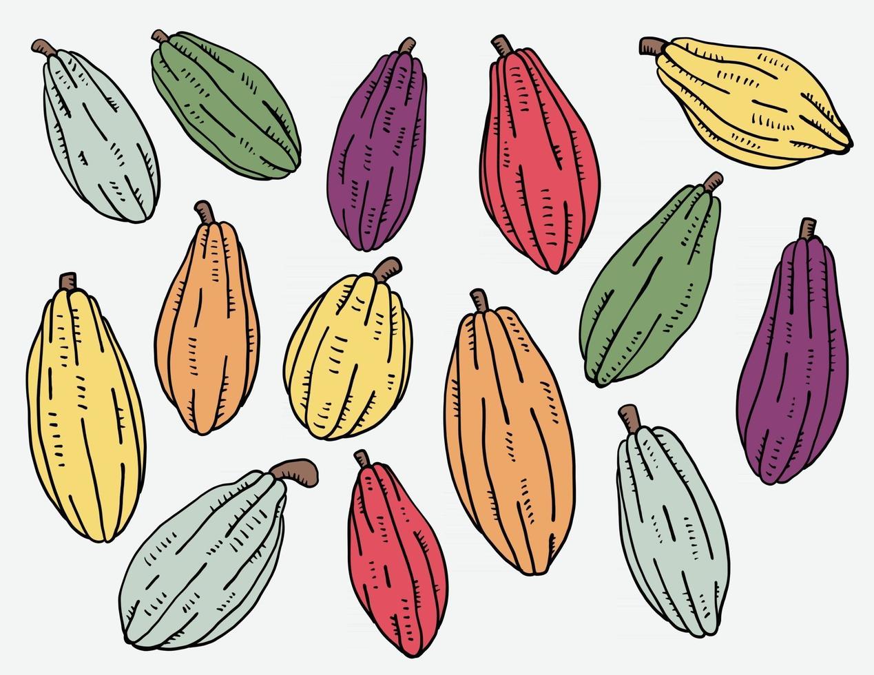 doodle desenho esboço à mão livre da coleção de frutas de cacau vetor