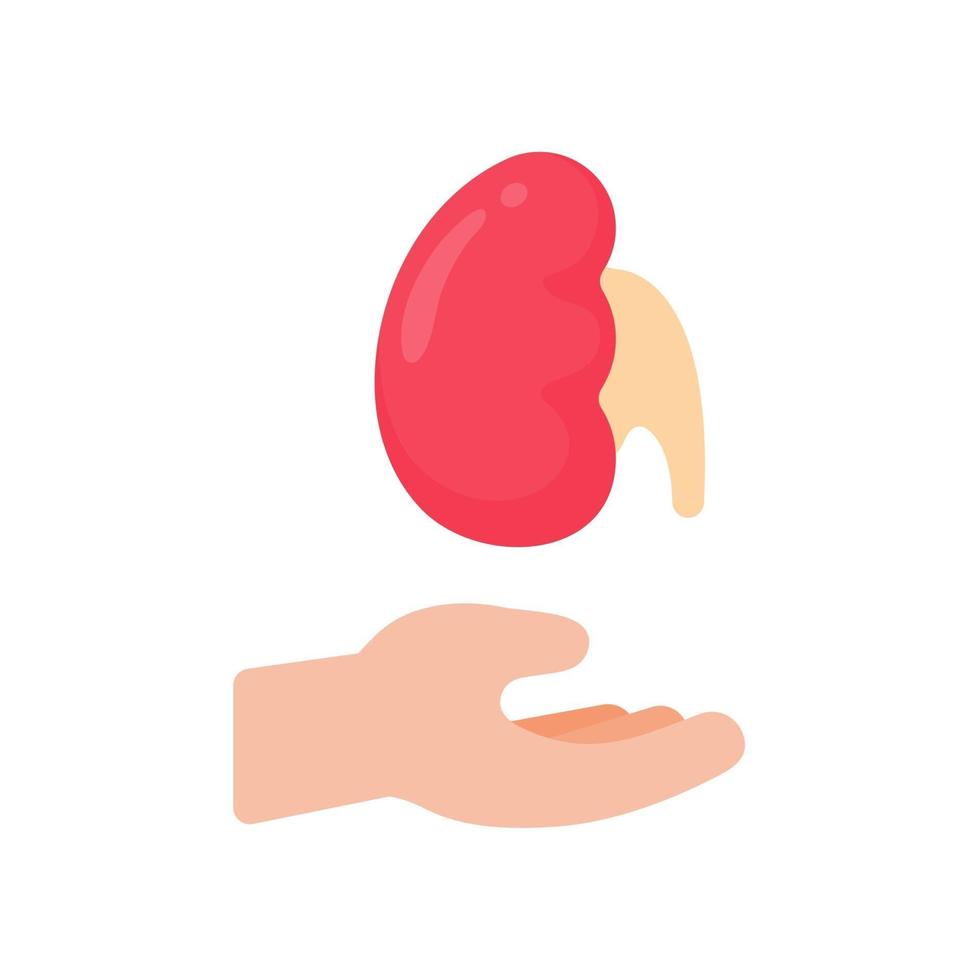 mão que apóia órgãos internos o conceito de doação de órgãos para o tratamento de pacientes vetor
