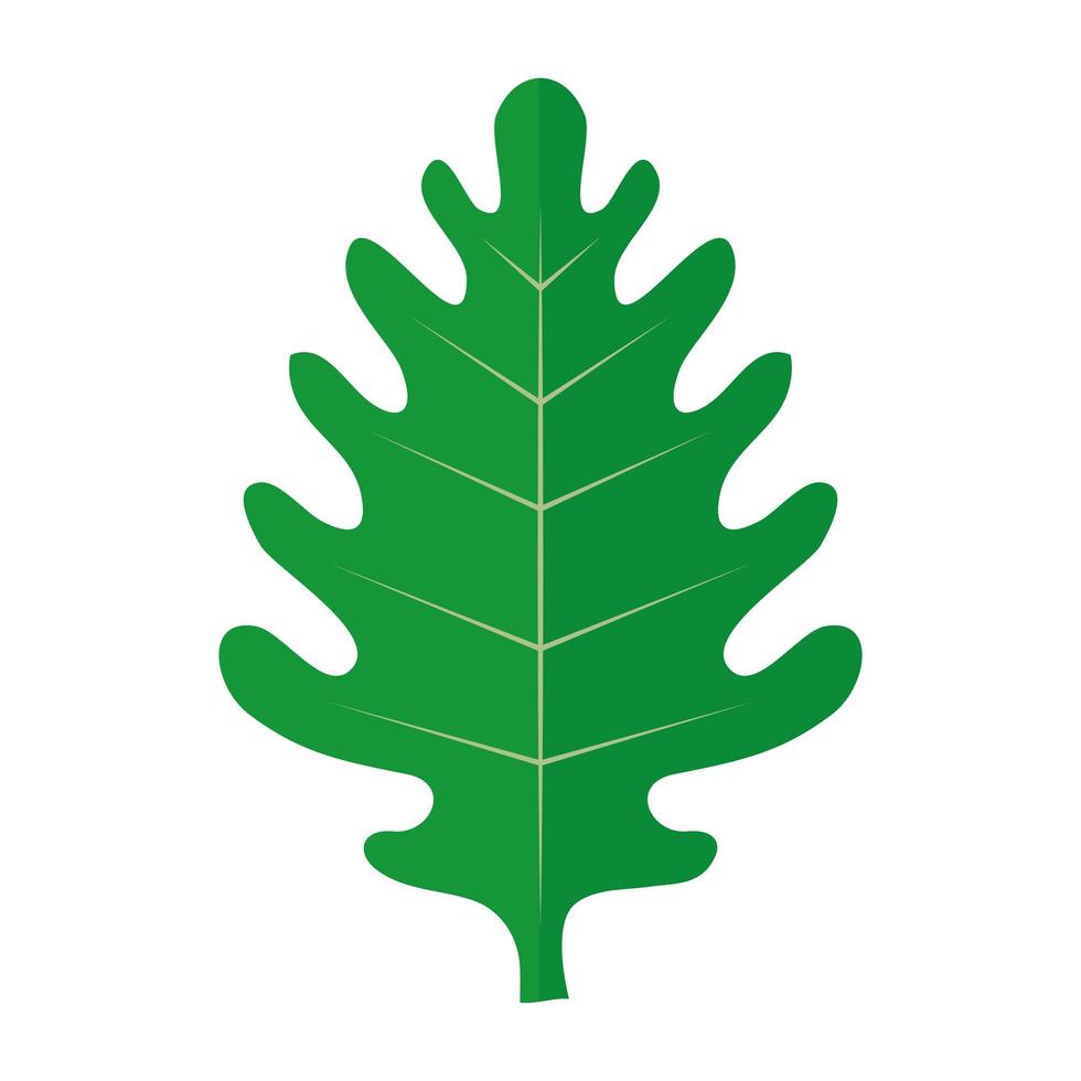 ícone de folha tropical isolada de palmeira vetor