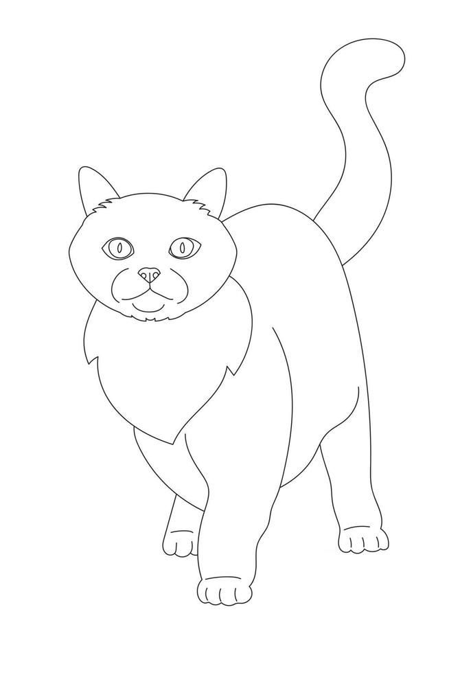 ilustração desenho esboço de gato vetor